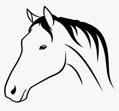 Maybe you would like to learn more about one of these? Bra Animal Horse Head Horse Head Drawing Png Transparent Png Transparent Png Image Pngitem