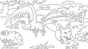 Eagle coloring pages and drawings. Animal Coloring Pages Jack The Lizard Wonder World