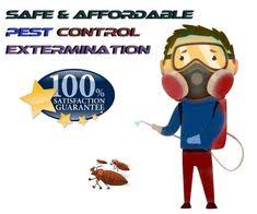 Search to find out if we provide pest control services to your neighborhood. Fast Pest Control Melbourne Pest Controlmel Profile Pinterest