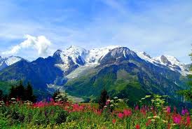 Maybe you would like to learn more about one of these? 10 Valley Of Flowers National Park Of Uttarakhand Ideas Valley Of Flowers Uttarakhand National Parks