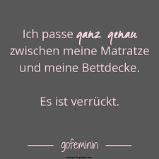 Lustige Gute Nacht Sprüche Lustige Bilder Zur Guten Nacht Bilder