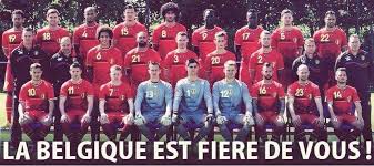 'diable rouge' _ 'diable rouge' is a compact, rounded to spreading, deciduous tree with ovate to elliptic, toothed, dark green leaves, maroon when young and turning yellow in autumn. Les Diable Rouge Home Facebook