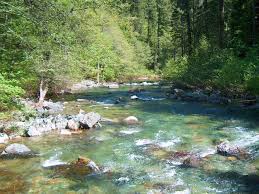 Maybe you would like to learn more about one of these? Camping At Little North Fork Queerbychoice Livejournal