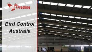 Bird Control Australia Brisbane Sydney Melbourne Darwin Bird Control Australia Brisbane
