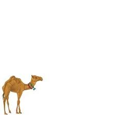 He wanted to be off home again, about his business. Silly Camel Tukaram Storyweaver