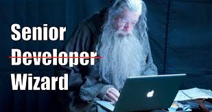 Developer vs engineer vs programmer. What Does It Mean To Be A Junior Developer Senior Developer Software Architect And Cto Codementor