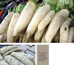 Maybe you would like to learn more about one of these? Hua Pakad A Tasty Vegetable At The Roots Of Thai Cuisine