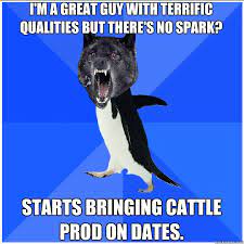 I M A Great Guy With Terrific Qualities But There S No Spark Starts Bringing Cattle Prod On Dates Socially Awkward Insanity Wolf Ryan Gosling Quickmeme