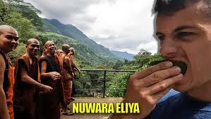 MOST BEAUTIFUL WATERFALL in Sri Lanka? Bomburu Ella 🇱🇰