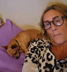 Chihuahua caring for owner after surgery