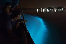 Upscale kuala selangor is calling! D Tour Kuala Selangor Jetty Of Sky Mirror Tour Blue Tears Tour Eagle Feeding Tour Firefly Tour And Atv Experience