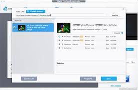 Video Downloaders Choose The Best Solution For You