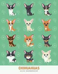 Pin De Yuri En W Perros Chihuahua Animales Y Mascotas Perros Chiguagua