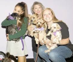 Applicants outside the immediate tulsa area must have excellent veterinary records in their name for current or recent cats or dogs. Pet Scoop Ariana Grande Adopts Pup Before Show Study Finds Why Elephants Get Less Cancer