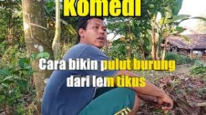 Maybe you would like to learn more about one of these? Cara Bikin Pulut Burung Dari Lem Tikus Youtube