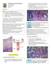 The myometrium is the muscular wall of the uterus. Endometrium And Myometrium By Darkcry Pdf Archive