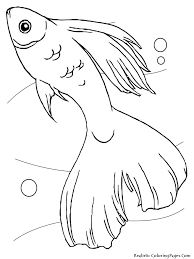 Pin On Animal Coloring Book