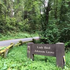 Lady bird johnson grove trail map. Lady Bird Johnson Grove Orick Ca California Beaches