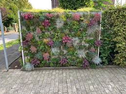 pflanzen gabione ende des sommers garten landschaftsbau garten pflanzen garten bepflanzen