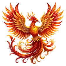 Image result for Phoenix