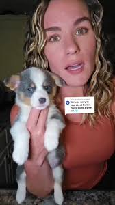 Cj Aka Cargirl Dutton Dog