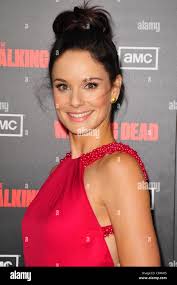 Sarah wayne callies hi-res stock photography and images - Alamy