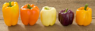 The arthurian legend of the knights of the round table, camelot, the quest for the. Sweet Bell Pepper Seeds Organic Varieties Johnny S Selected Seeds