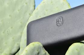 They are not adapted for that because they need moist soil. Vegan Leather What Is It Leather Alternatives Cactus Leather