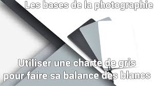 comment utiliser une charte de gris pour faire sa balance des blancs