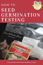 Germination Testing For Seed Viability Are Your Seeds Still