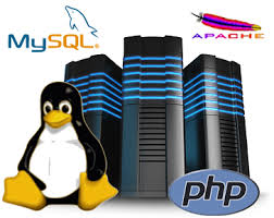 Leading Web Hosting Provider In Coimbatore At Affordable Price Our Service Includes Domain Name Regist Web Hosting Web Hosting Services Web Development Design