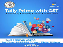 Tally Prime With GST product image