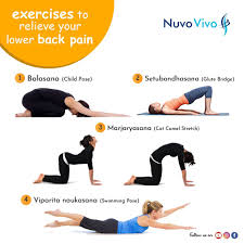 Sometimes a little segmental movement can free up tension and. Exercises To Relieve Your Back Pain Nuvovivo