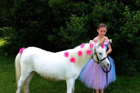 Our petting zoo rental is a 16'x 30' with a gate and allows for up to 25 guests to be inside of the petting zoo at a time. Hire Pony And Petting Zoo Rentals In Sf Bay Area Fun Factory Parties