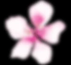 The present day, time, or age: Drogerieprodukte Von Today Fur Die Tagliche Reinigung Und Pflege