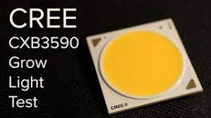 Have you heard about cob led grow lights, and now you're wondering what all the fuss is about? Cree Cxb3590 Test Are Cree The Best Cob For Grow Lights Youtube