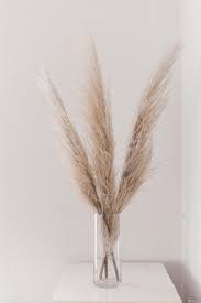 Pampas Grass Dried Preserved Domestically Grown Etsy Tall Vase Decor Tall Vases Home Floral Arrangements