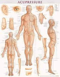 Acupressure Reference Poster