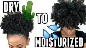 The best hair moisturizers are made up of two parts: How To Moisturize Dry Natural Hair That Lasts For Days Retain Moisture Youtube