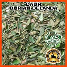 Maybe you would like to learn more about one of these? Daun Durian Belanda Kering Dried Soursop Leaf Merawat Kanser Kencing Manis Kolesterol Dan Buasir Shopee Malaysia