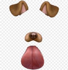 Filtros Tumblr Snapchat Dog Filter Png Image With Transparent Background Toppng