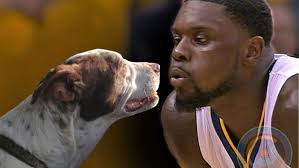 Thunder Up for National Dog Day