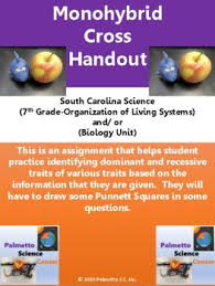 Dihybrid crosses, this will help you complete the questions below. Punnett Square Monohybrid Worksheets Teaching Resources Tpt