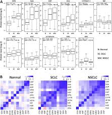 Oncotarget Identification Of Serum Proteins And