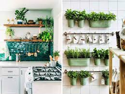 Check spelling or type a new query. Decoraciones Con Plantas Para Interiores