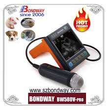 If your doctor has recommended that you have an ultrasound, you may be exploring the costs associated with the procedure at honorhealth. Medical Supply Veterinary Ultrasound System Portable Ultrasound Machine For Vet Use Reproscan How Much Does A Veterinary Ultrasound Cost China Product China Animal Ultrasound Ultrasound Scanner