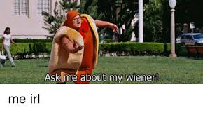 I eat way too much food and i obsess over countless celebrites and youtubers. 25 Best Memes About Ask Me About My Wiener Ask Me About My Wiener Memes