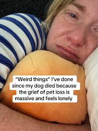 Dealing with grief after losing a pet