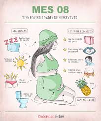 Octavo Mes De Embarazo Mes 8 Embarazo Divertido Sintomas De Embarazo Embarazo Feliz