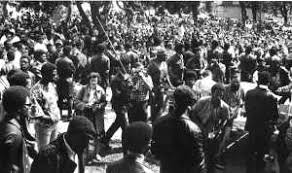 Image result for black panthers oakland